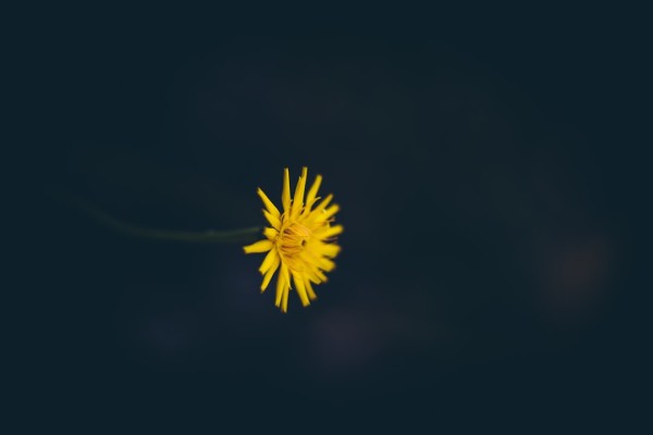 뜨거운 물 샤워 이미지